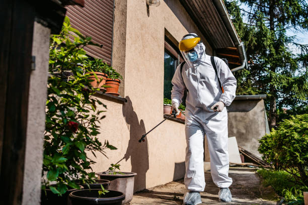 Best Mosquito Control Services  in Placentia, CA