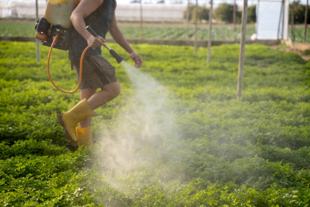 Best Commercial Pest Control Services  in Placentia, CA